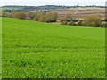 Farmland, Great Milton