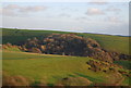 Chilcombe Coppice