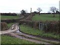 Footpath and track to Cross Farm