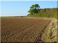 SP6204 : Farmland, Great Milton by Andrew Smith