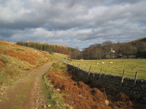Moorland Track and Footpath leading to Langleeford