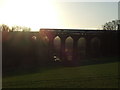 TQ5365 : Train on Eynsford Viaduct by Malc McDonald