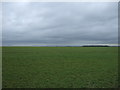 Farmland off Wentworth Road