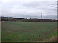 Farmland near Swinton