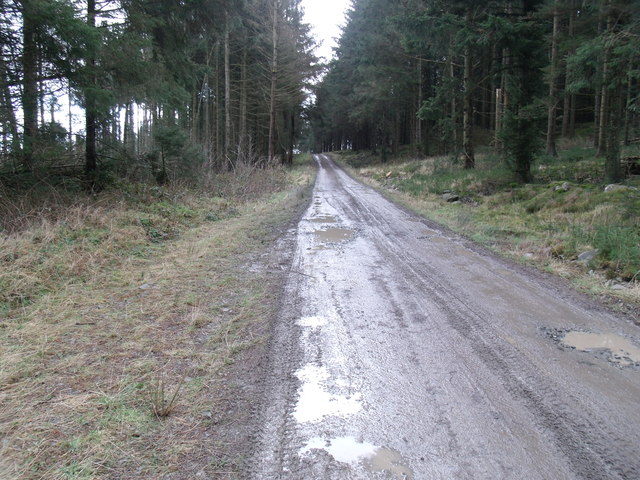 Track  near to Tan-y-bwlch