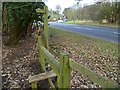 Footpath reaches Shere Road