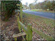 TQ0450 : Footpath reaches Shere Road by Shazz