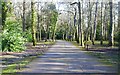 Entrance Road to Stanley Caravan Park