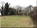 Derelict Cottage on the Old Newry Road