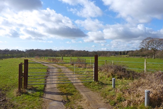 Tiptoe, New Forest - area information, map, walks and more