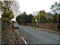 Autumn leaves on Priest Hill