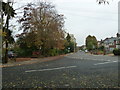 Autumn leaves at the junction of Blenheim Road and Priest Hill