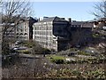 Ouseburn from the east