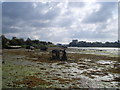 View looking East from North shore of Forton Lake