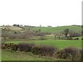 Inter-drumlin wetland between the Ballykeel and Cullion Road