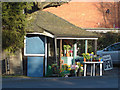 West End, flower stall