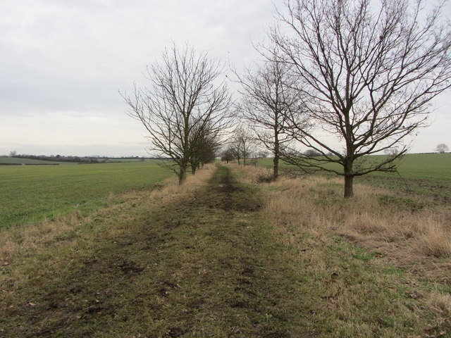 Clamp's Lane, Carlton, Cambridgeshire (3)