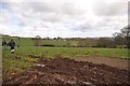 Mid Devon : Grassy Field & Mud