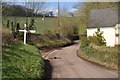 Mid Devon : Country Road