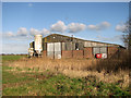 Shed at The Laurels, Ludham