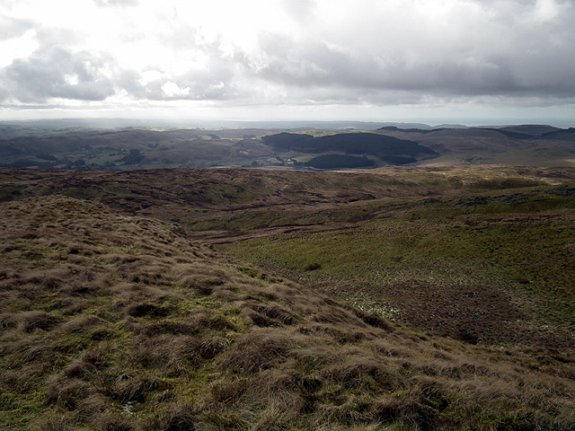 Dinas Reservoir, Ceredigion (sir Ceredigion) - Area Information, Map 