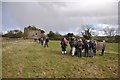 Mid Devon : Grassy Field