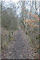 Path Pipworth Lane to Station Road Halfway