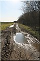 Muddy Track off Moor Lane