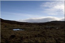 NR3369 : Marshy ground west of Cnoc a' Chlaidheimh, Islay by Becky Williamson