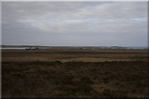 NR3171 : Looking across to Killinallan, Islay by Becky Williamson