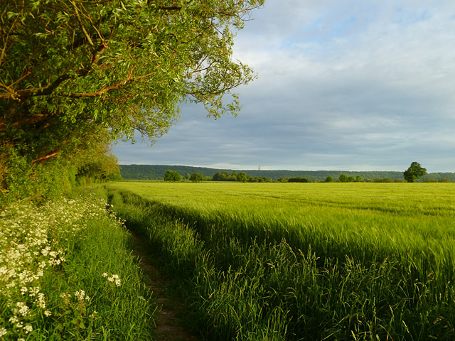 Farmland, Aston Rowant