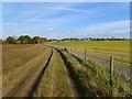 Farmland and track, Thame