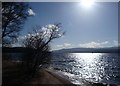NN5157 : View across Loch Rannoch from small beach by the roadside by Alan O'Dowd
