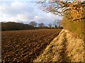 Farmland, Cholesbury