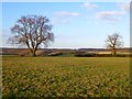 Farmland, Chartridge