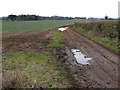 Farm Track and Footpath