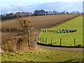 Farmland, Bovingdon