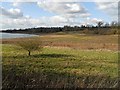 SP4770 : Draycote Water-Toft Shallows by Ian Rob