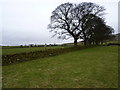 A stone stile on the path to Roche Grange