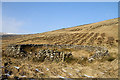 NT2715 : A sheepfold below Thirlestane Hill by Walter Baxter
