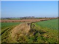 SU1076 : Farmland, Broad Hinton by Andrew Smith