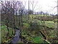 Stream, Mount Stewart