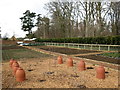 Kitchen garden, Kingston Lacy