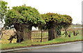 Old gateposts, Downpatrick