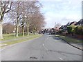 Batcliffe Drive - viewed from Batcliffe Mount