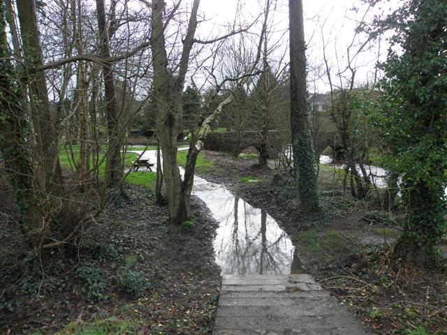 Flooded path, Cranny