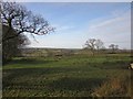 Pasture above Coxwell Farm