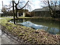 Roadside pond at Deerview Farm