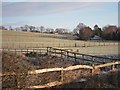 Paddocks near Chamneys Farm