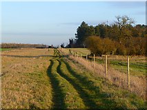 SU3496 : Track and farmland, Buckland by Andrew Smith